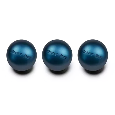 Boule de Pétanque Master Inox Très Tendre | MS Pétanque